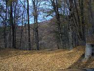 Toamna